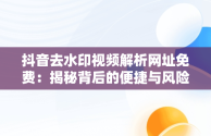 抖音去水印视频解析网址免费：揭秘背后的便捷与风险，抖音视频去水印解析网站 