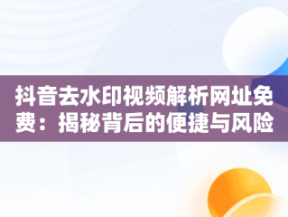抖音去水印视频解析网址免费：揭秘背后的便捷与风险，抖音视频去水印解析网站 