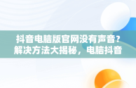 抖音电脑版官网没有声音？解决方法大揭秘，电脑抖音官网怎么打不开 