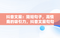 抖音文案：简短句子，高情商的吸引力，抖音文案句句那么入人心扉 