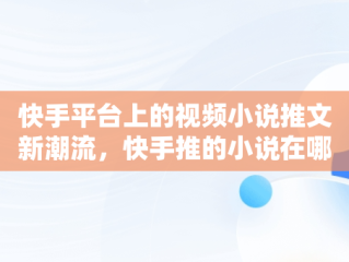 快手平台上的视频小说推文新潮流，快手推的小说在哪里查 