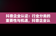 抖音企业认证：行业分类的重要性与机遇，抖音企业认证行业分类可以改吗 