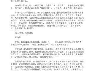 跨境电商平台操作实训报告,跨境电子商务平台实训报告