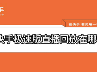 快手极速版官网在线观看,快手极速版在线观看版