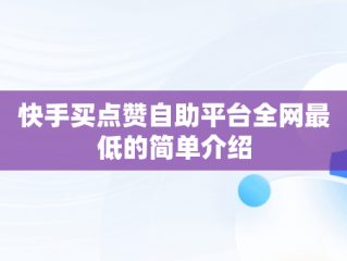 快手买点赞自助平台全网最低的简单介绍