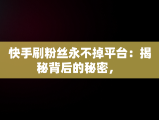 快手刷粉丝永不掉平台：揭秘背后的秘密， 