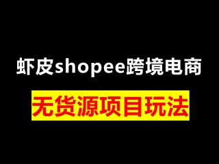无货源跨境电商做哪个平台比较好,无货源跨境电商怎么做