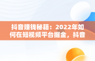 抖音赚钱秘籍：2022年如何在短视频平台掘金，抖音怎么赚钱2024 