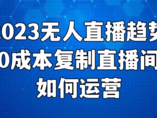 无人直播怎么赚钱(无人直播怎么赚钱的)