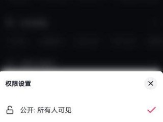 抖音怎么放大一个部位,抖音视频里怎么放大部分