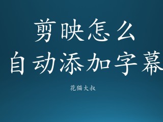 短视频字幕怎么制作(短视频字幕怎么制作出来的)