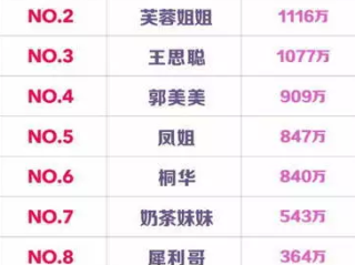 网红排名前十图片,网红排行前十名是谁
