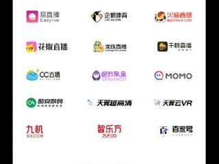 个人开发视频直播平台怎么做,个人开发视频直播平台