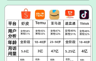 美国跨境电商平台排行榜前十名,美国跨境电商热销品类