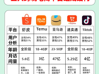 美国跨境电商平台排行榜前十名,美国跨境电商热销品类