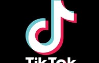 抖音国际版tiktok色板免费下载,抖音国际版tiktok色板免费