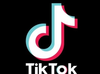 抖音国际版tiktok色板免费下载,抖音国际版tiktok色板免费