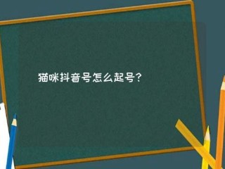 抖音1号(抖音1号多少钱人民币)