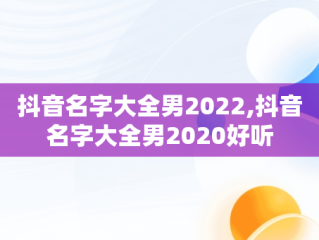 抖音名字大全男2022,抖音名字大全男2020好听