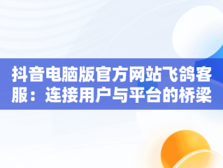 抖音电脑版官方网站飞鸽客服：连接用户与平台的桥梁，抖音飞鸽客服工作台电脑怎么下载 