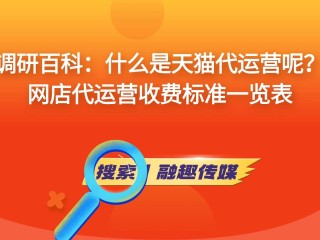 跨境电商代运营收费(跨境电商代运营商有哪些)
