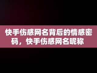 快手伤感网名背后的情感密码，快手伤感网名昵称 