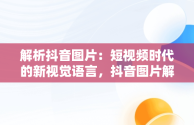 解析抖音图片：短视频时代的新视觉语言，抖音图片解析工具 