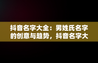 抖音名字大全：男姓氏名字的创意与趋势，抖音名字大全男2020好听 