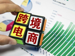 适合东南亚的跨境电商有哪些平台,做东南亚跨境电商平台有哪些