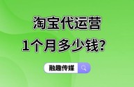 正规淘宝代运营去哪里找(正规淘宝代运营去哪里找货源)