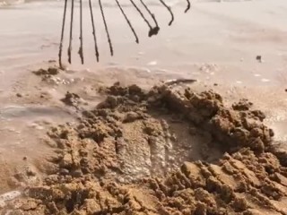 抖音小视频观看赶海(抖音小视频观看赶海怎么拍)