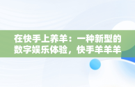 在快手上养羊：一种新型的数字娱乐体验，快手羊羊羊怎么了 