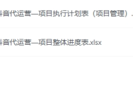 抖音代运营项目进度管理计划表