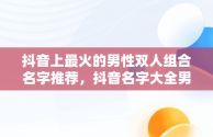 抖音上最火的男性双人组合名字推荐，抖音名字大全男2人两个字 