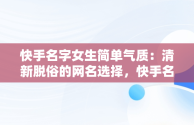 快手名字女生简单气质：清新脱俗的网名选择，快手名字女生简单气质俩字 