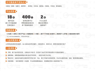 主流的跨境电商平台有哪些?(主流跨境电子商务平台有哪些)