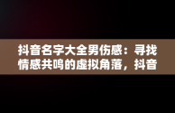 抖音名字大全男伤感：寻找情感共鸣的虚拟角落，抖音名字大全男伤感二个字独来独往 