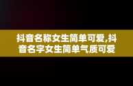 抖音名称女生简单可爱,抖音名字女生简单气质可爱