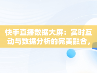 快手直播数据大屏：实时互动与数据分析的完美融合，快手直播数据大屏在哪里 