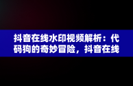 抖音在线水印视频解析：代码狗的奇妙冒险，抖音在线水印解析视频网址 