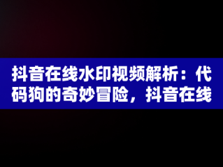 抖音在线水印视频解析：代码狗的奇妙冒险，抖音在线水印解析视频网址 