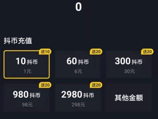 抖音充值抖币,抖音充值抖币官网入口110