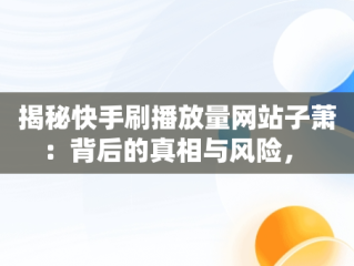 揭秘快手刷播放量网站子萧：背后的真相与风险， 