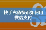 快手官网充值快币苹果手机(苹果快手快币充值平台)