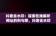 抖音去水印：探索在线解析网址的利与弊，抖音去水印在线解析网址是什么 