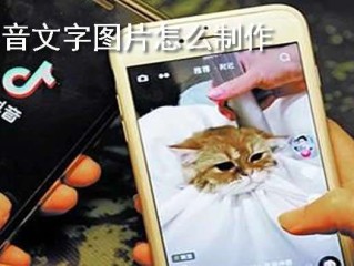 抖音怎么放大字体,抖音如何放大字体