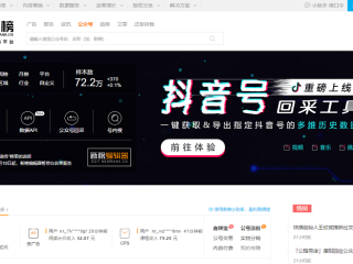抖音网页版入口下载(抖音网页版入口下载官网)