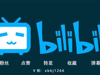 b站播放量最大的视频(b站播放量最大的视频是哪个)