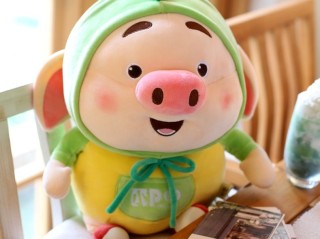 抖音 电脑上看,抖音电脑版在线观看小猪