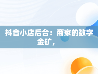抖音小店后台：商家的数字金矿， 